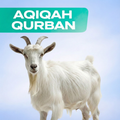 Aqiqah Qurban