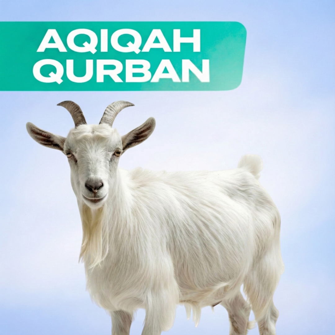 Aqiqah Qurban