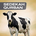 Sedekah Qurban — Whole Cow