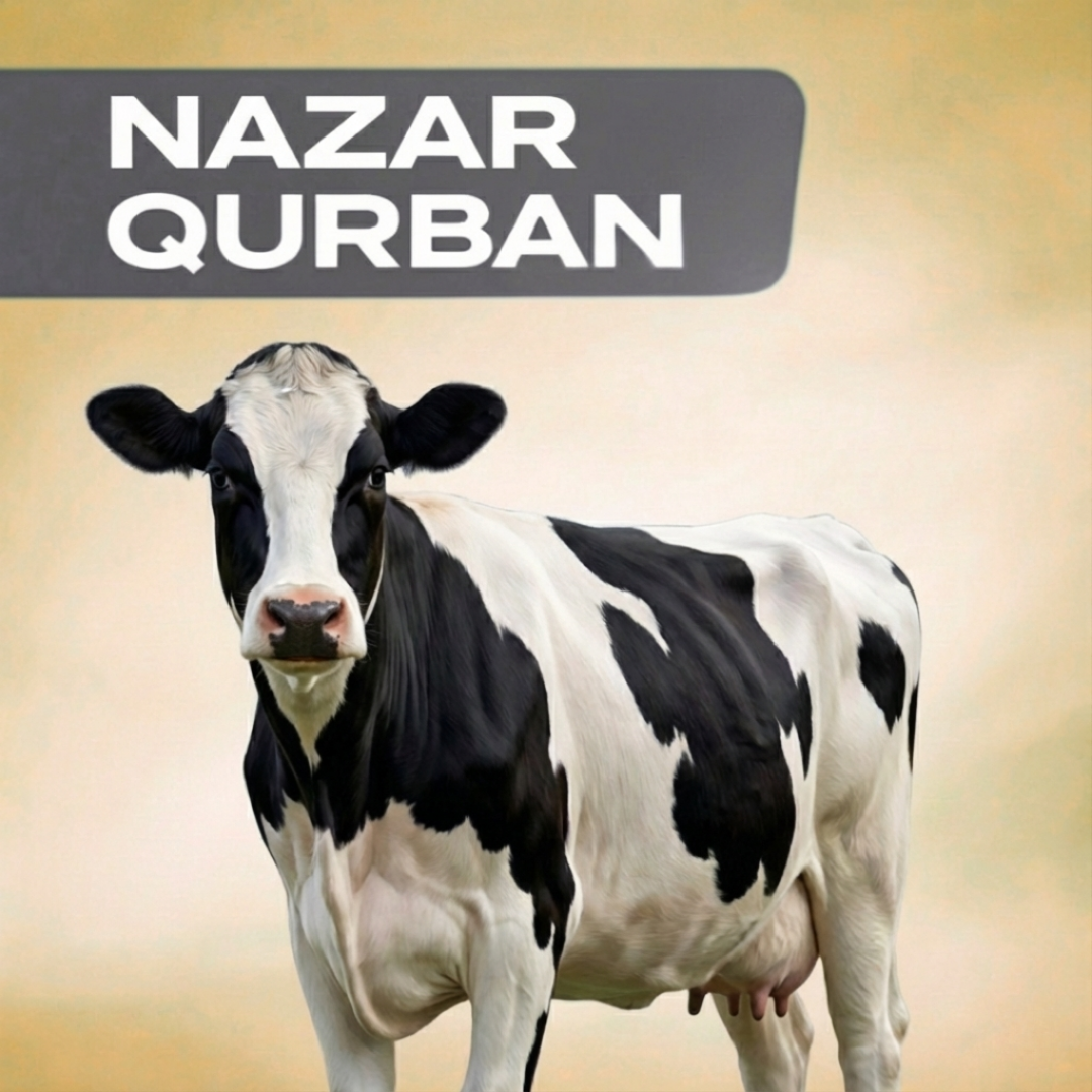 Nazar Qurban — Whole Cow