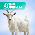 Syifa Qurban